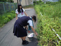大田町清掃活動の様子写真1